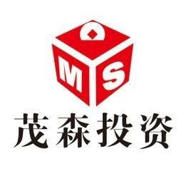 南昌茂森投資管理 專業(yè)投資管理服務(wù)的優(yōu)勢與前景