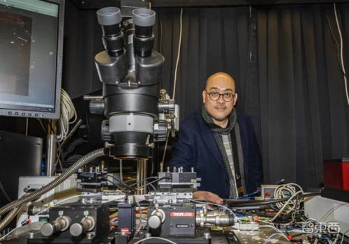 科學(xué)家研發(fā)新型光子芯片 用聲波有效抗噪,突破數(shù)據(jù)傳輸瓶頸