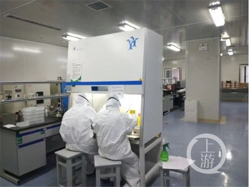 重慶醫(yī)科大學(xué)成功研發(fā)新型冠狀病毒免疫檢測(cè)試劑盒