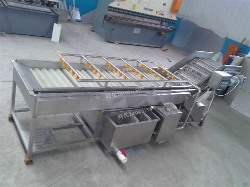 四季香蔥清洗風(fēng)干線(xiàn)與小蔥清洗線(xiàn) 高效清洗技術(shù)與新型汽輪機(jī)的研發(fā)及銷(xiāo)售